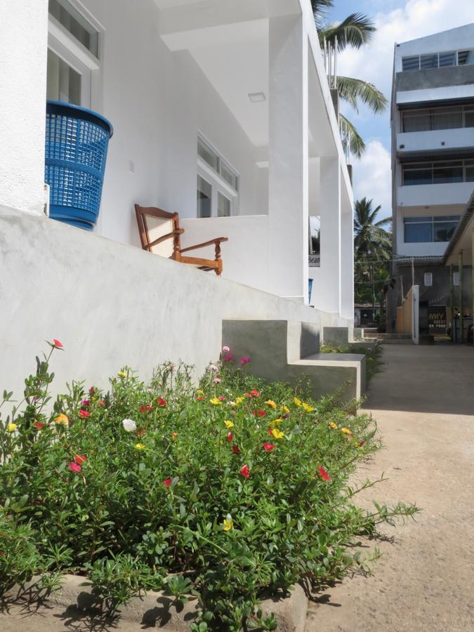 Mountain Wave Hotel And Surfshop Hikkaduwa Dış mekan fotoğraf